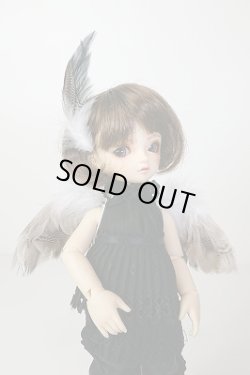 画像1: 鳥の羽根のハネ　シマ　SSS