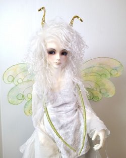 画像1: 刺繍妖精羽　ぐるぐる型　黄緑MIX