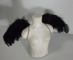 画像2: 鳥の羽根のハネ　黒　SSS